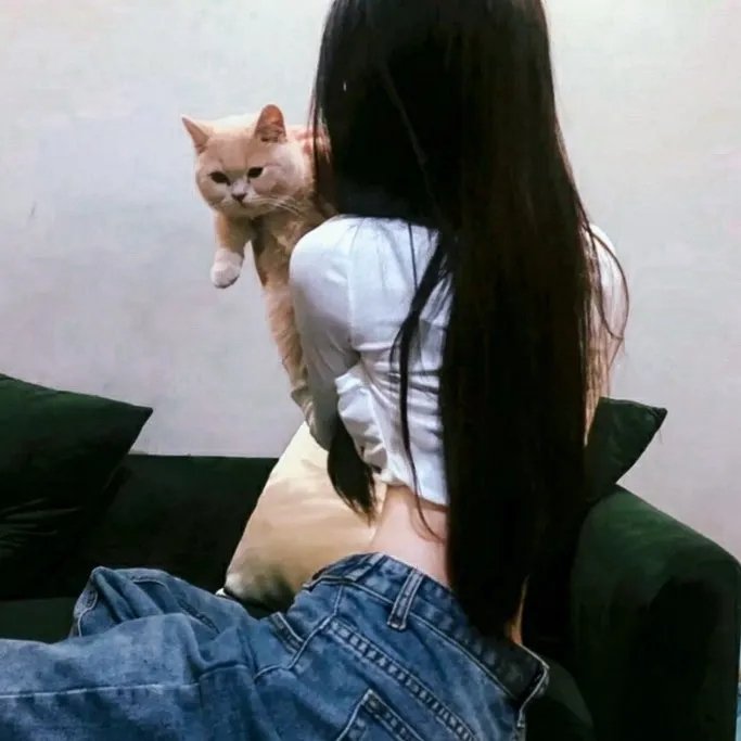 美人镖局